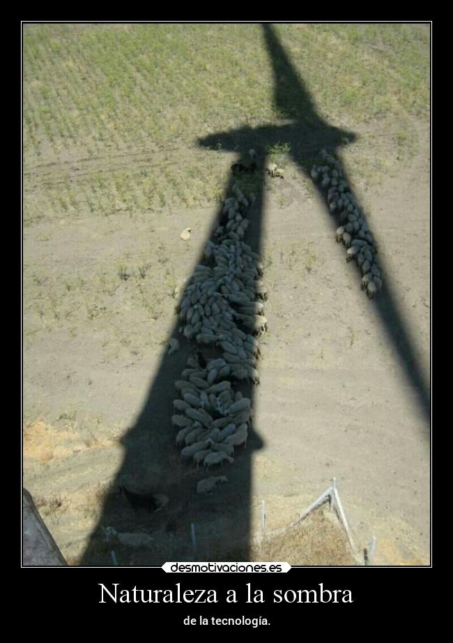 Naturaleza a la sombra -