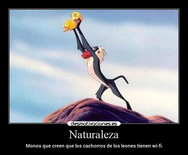 carteles naturaleza fail humor locura animales tonto laurasimpson11 leon monos wifi xddd desmotivaciones