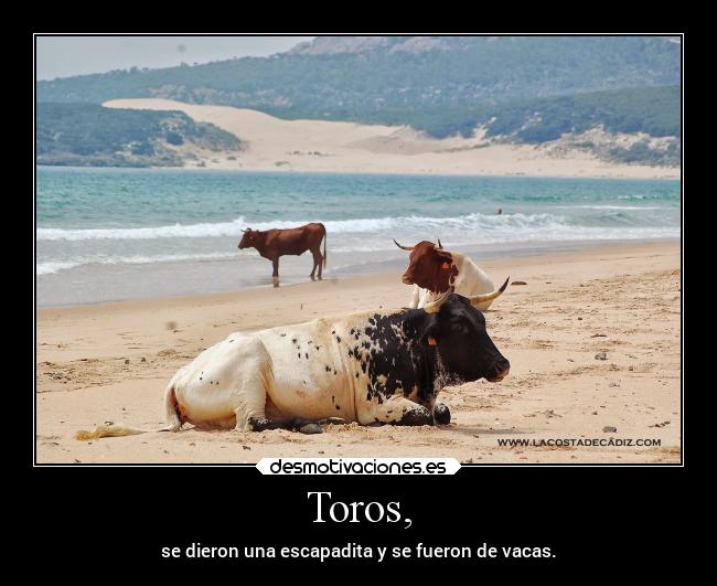 Toros, -