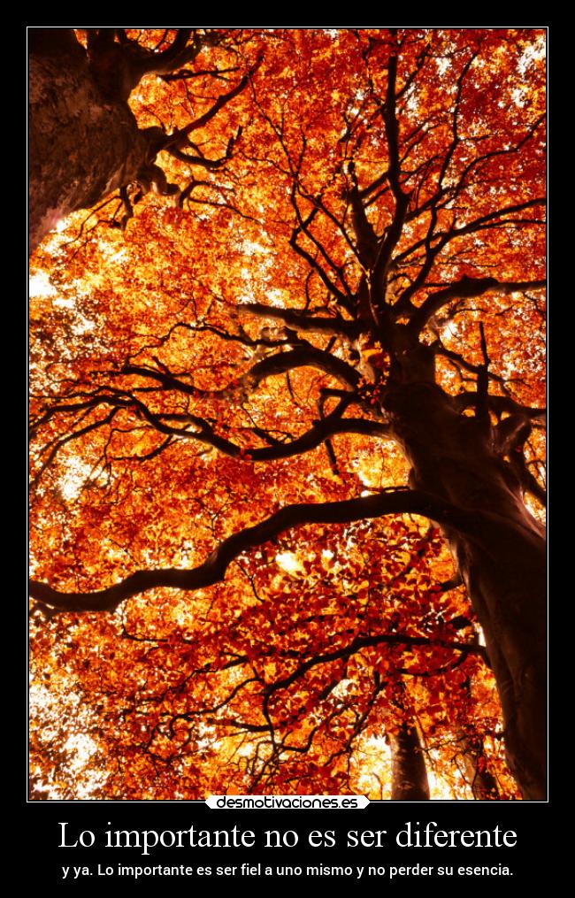 Lo importante no es ser diferente - 