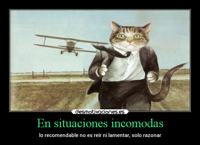 carteles pensamientos situaciones incomodas recomendacion lamentar reir razonar desmotivaciones