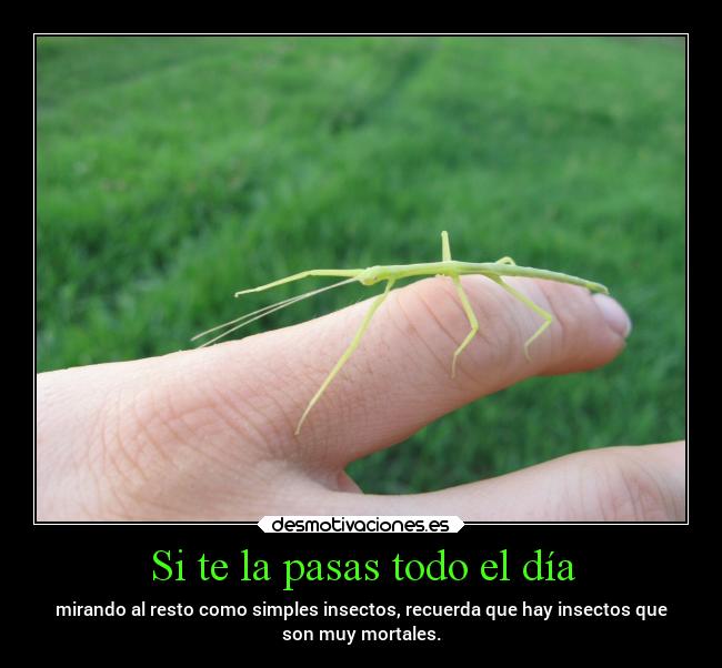 Si te la pasas todo el día -