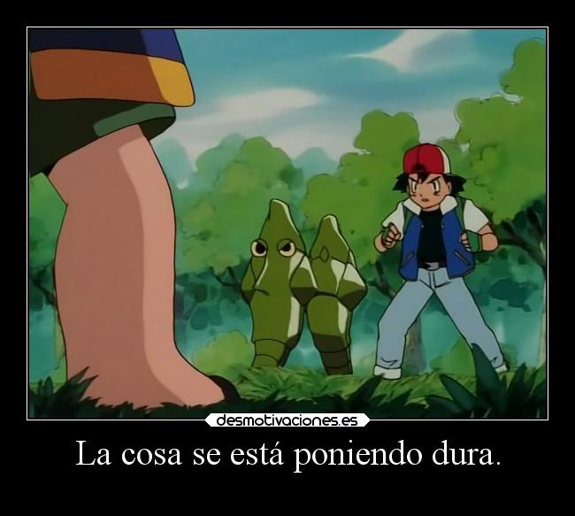 carteles pokemon humor desmofunny metapod fortaleza elpatodelapiovendehierba desmotivaciones