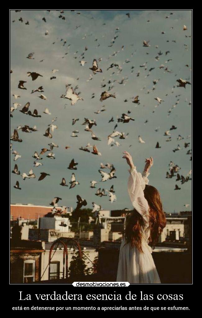 La verdadera esencia de las cosas - está en detenerse por un momento a apreciarlas antes de que se esfumen.