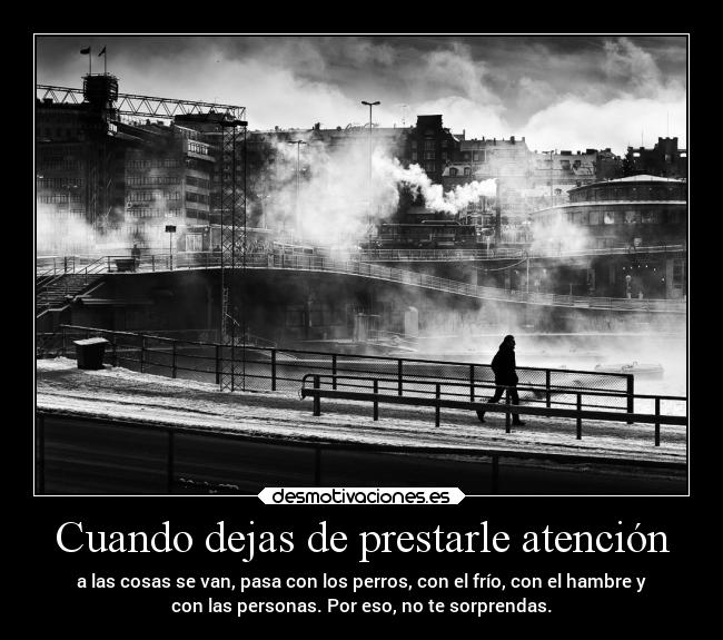Cuando dejas de prestarle atención - a las cosas se van, pasa con los perros, con el frío, con el hambre y
con las personas. Por eso, no te sorprendas.