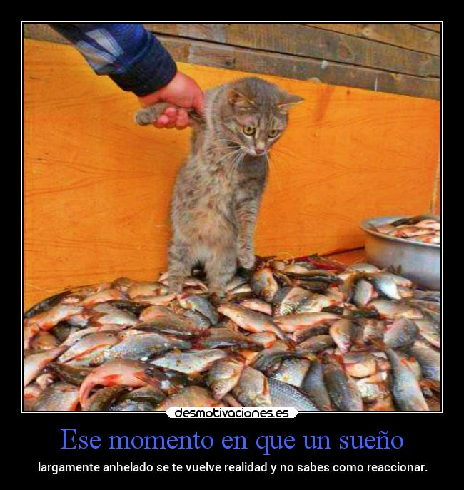 Ese momento en que un sueño - largamente anhelado se te vuelve realidad y no sabes como reaccionar.