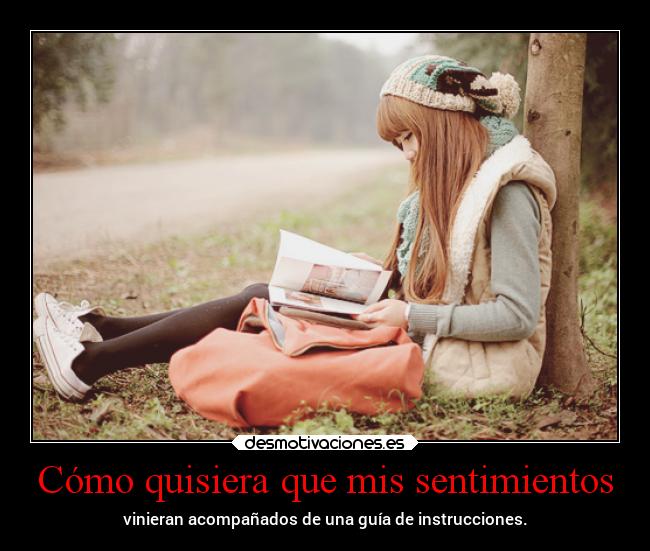 carteles sentimientos sentimientos vida projectd desmotivaciones