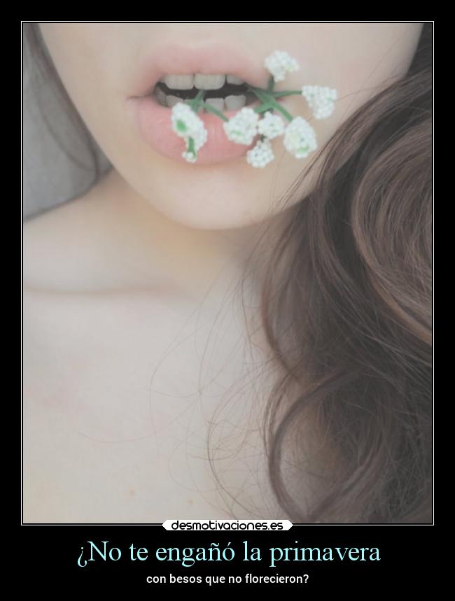 ¿No te engañó la primavera - con besos que no florecieron?