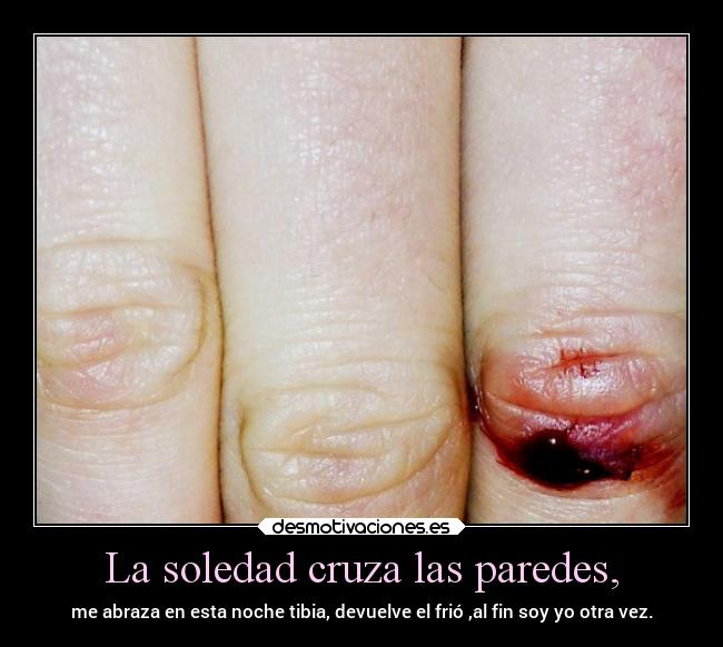 La soledad cruza las paredes, - me abraza en esta noche tibia, devuelve el frió ,al fin soy yo otra vez.