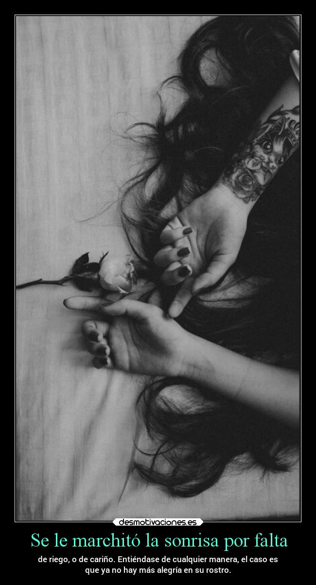 Se le marchitó la sonrisa por falta - de riego, o de cariño. Entiéndase de cualquier manera, el caso es
que ya no hay más alegría en su rostro.