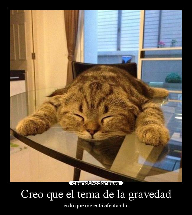 Creo que el tema de la gravedad -