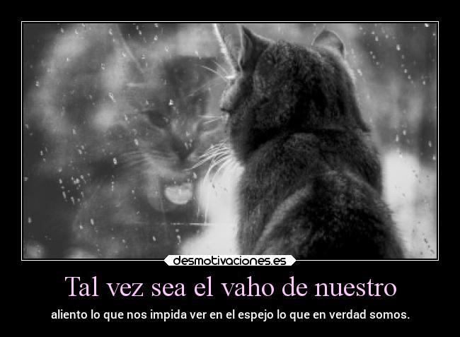 Tal vez sea el vaho de nuestro - 