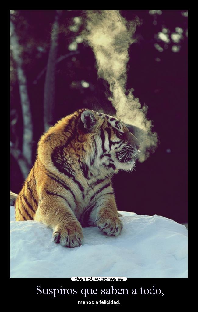 Suspiros que saben a todo, - menos a felicidad.