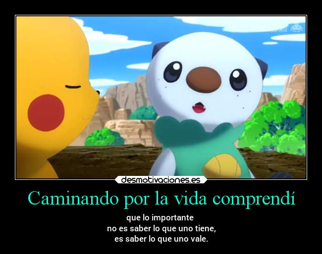 Caminando por la vida comprendí - que lo importante
no es saber lo que uno tiene,
es saber lo que uno vale.