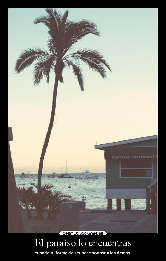 carteles vida alma max cambios desmotivaciones