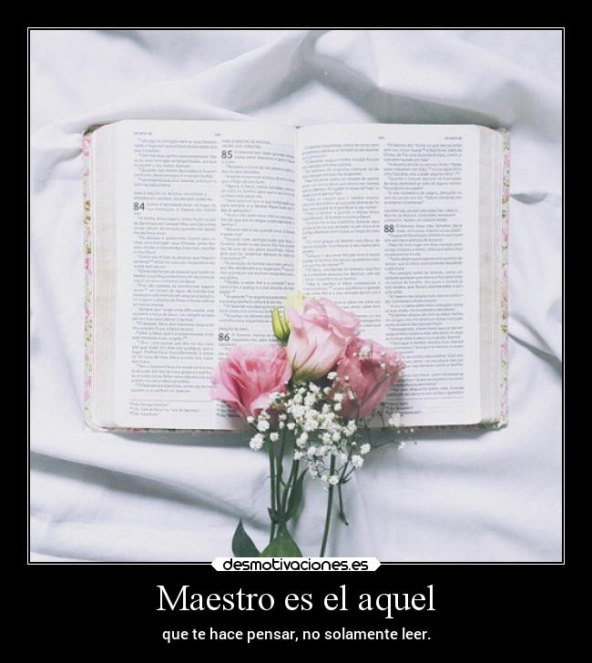 Maestro es el aquel -