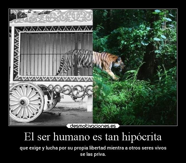 El ser humano es tan hipócrita - que exige y lucha por su propia libertad mientra a otros seres vivos
se las priva.