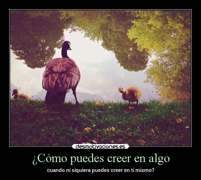 carteles vida caracter debilidad madurar problemas obstaculos suenos desmotivaciones