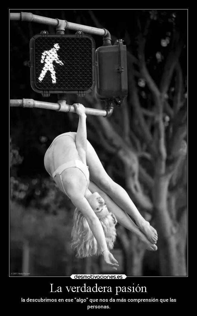 carteles vida danza rutherfordio regreso desmotivaciones