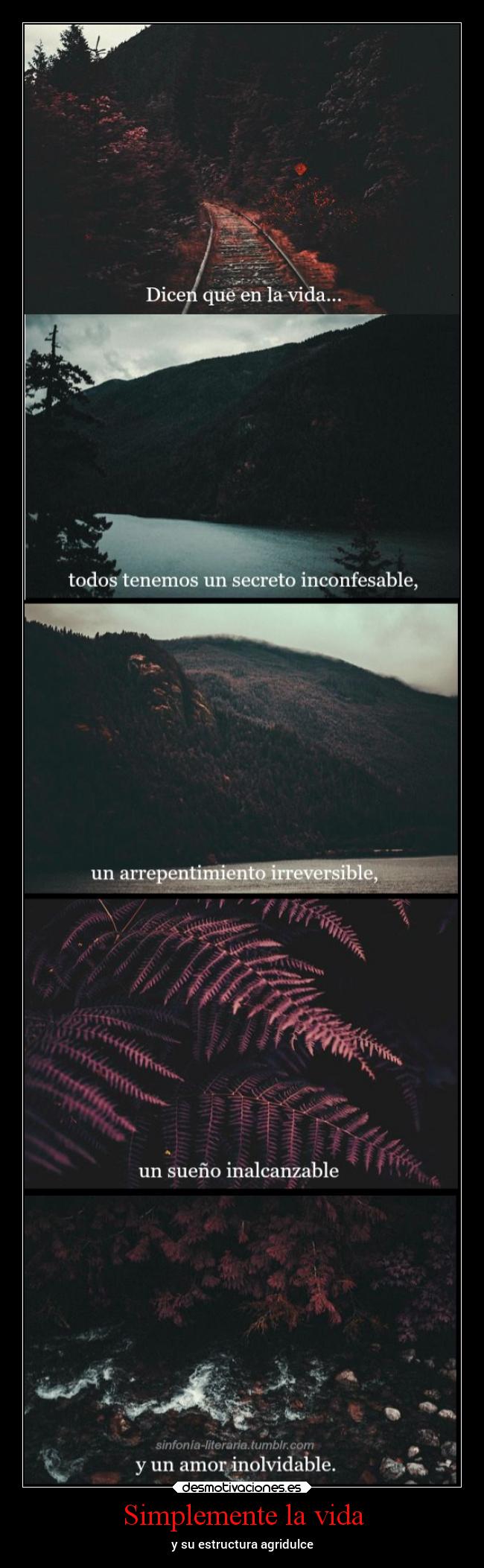 Simplemente la vida - y su estructura agridulce