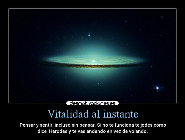 Vitalidad al instante - Pensar y sentir, incluso sin pensar. Si no te funciona te jodes como
dice Herodes y te vas andando en vez de volando.