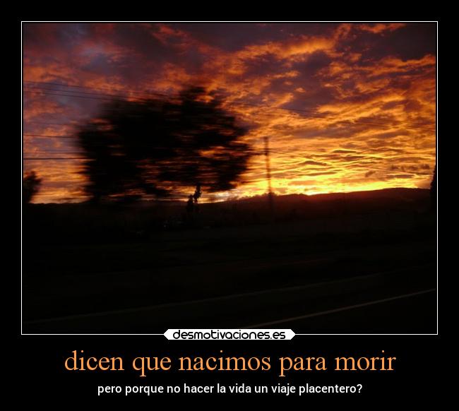 dicen que nacimos para morir - pero porque no hacer la vida un viaje placentero?