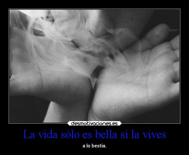 La vida sólo es bella si la vives -