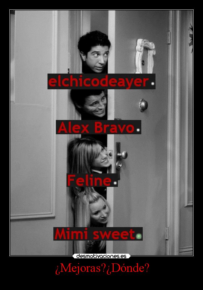 carteles vida humor amistad amor mimisweet alexbravo elchicodeayer feline mejoras carteldemierda mimitime desmotivaciones