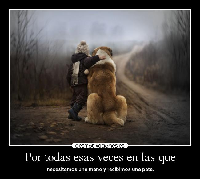 Por todas esas veces en las que - necesitamos una mano y recibimos una pata.