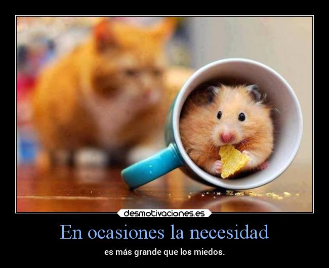 En ocasiones la necesidad -