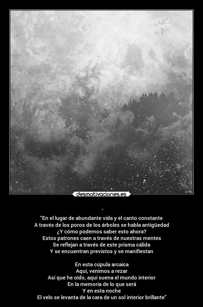 carteles vida naturaleza desmotivaciones