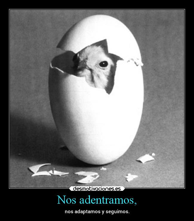 carteles vida obstaculos lol pollito sigamos desmotivaciones