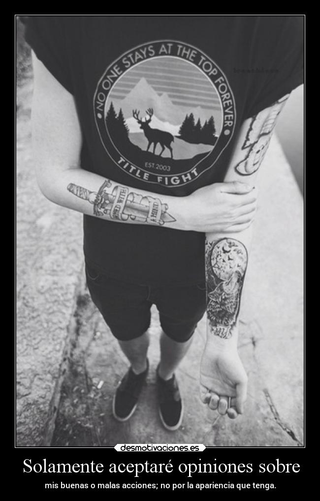 Solamente aceptaré opiniones sobre - 