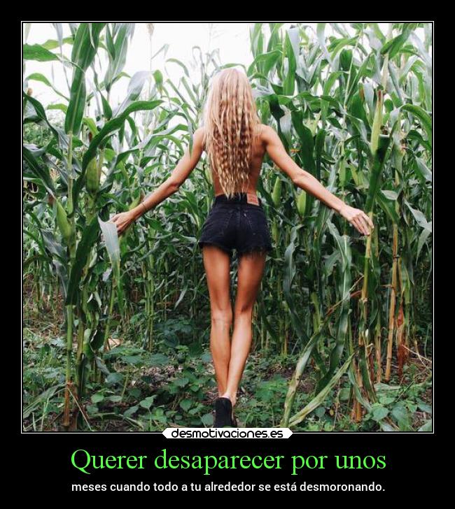 carteles vida pensamientos sentimientos desmotivaciones caracter desmotivaciones