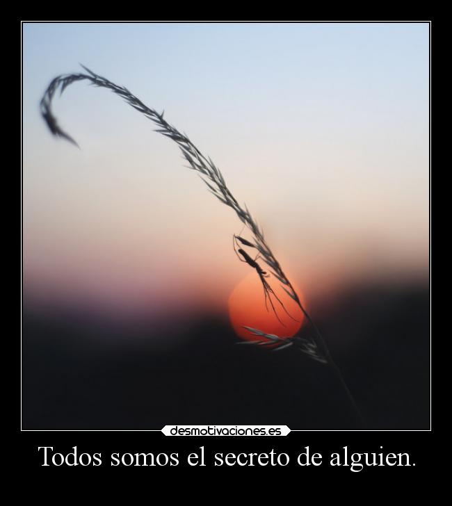 Todos somos el secreto de alguien. - 