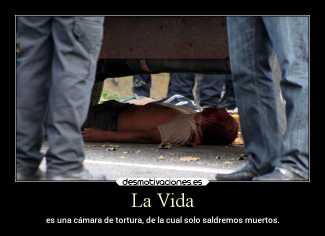 La Vida - 