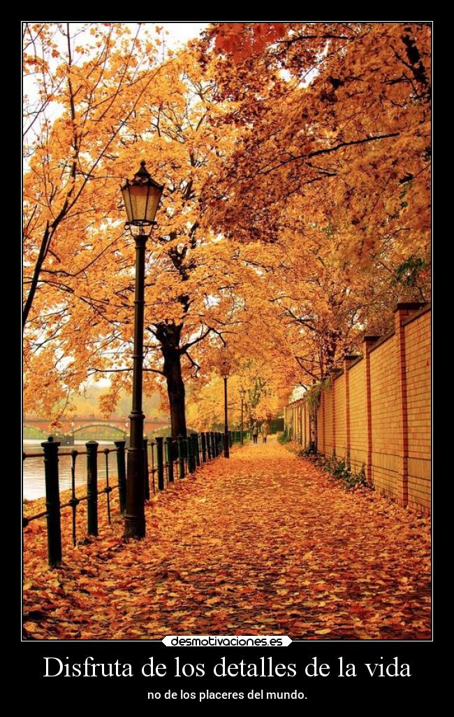 Disfruta de los detalles de la vida -