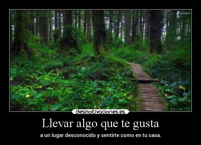 carteles vida tipico desmotivaciones