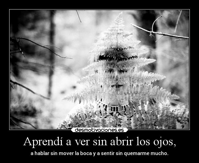 Aprendí a ver sin abrir los ojos, - a hablar sin mover la boca y a sentir sin quemarme mucho.