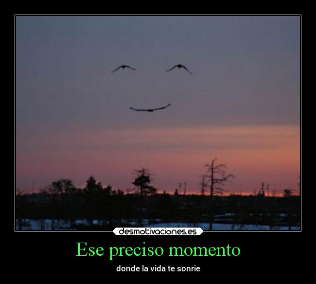 Ese preciso momento - donde la vida te sonrie