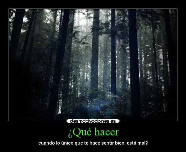 ¿Qué hacer - 