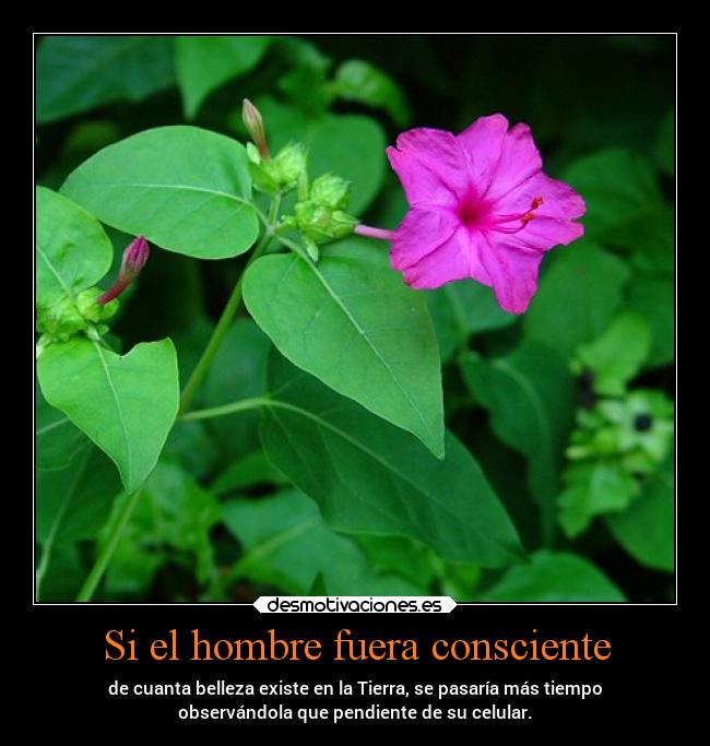 carteles alma desmotivaciones