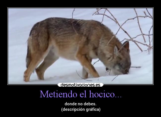 carteles alma desmotivaciones