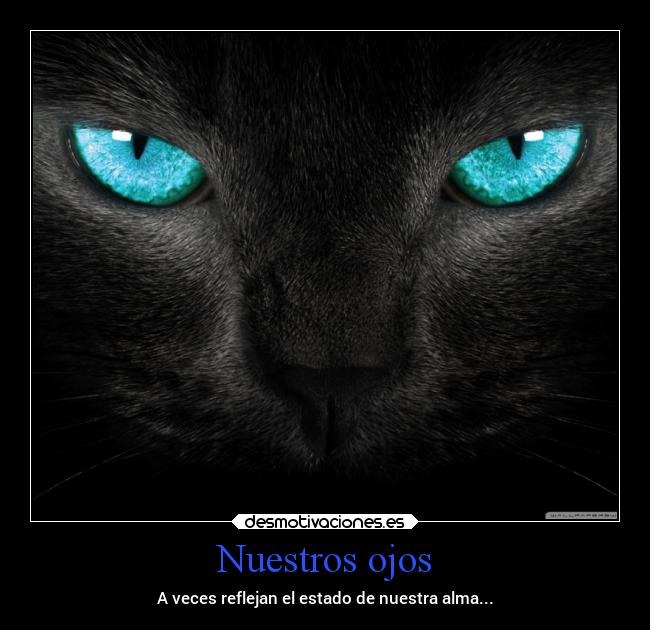 Nuestros ojos - A veces reflejan el estado de nuestra alma...