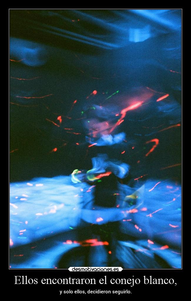 Ellos encontraron el conejo blanco, - y solo ellos, decidieron seguirlo.