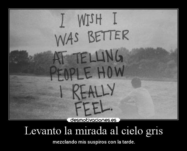 Levanto la mirada al cielo gris -