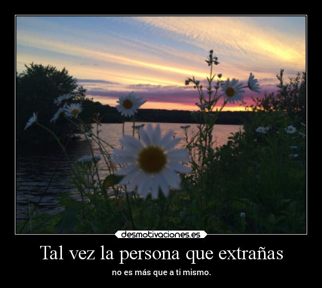 Tal vez la persona que extrañas -