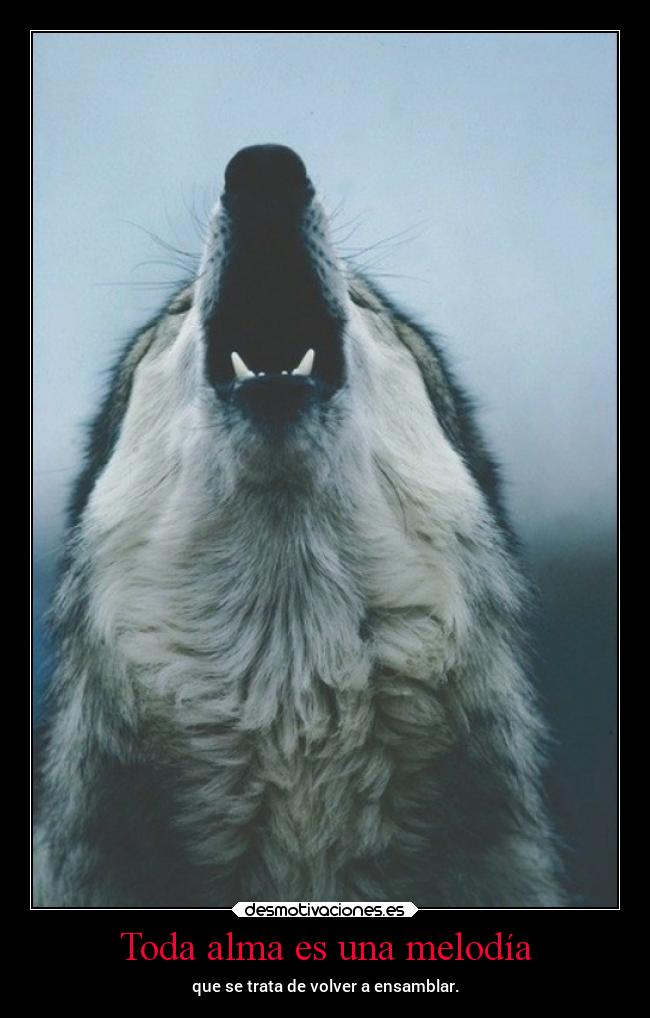 Toda alma es una melodía - que se trata de volver a ensamblar.