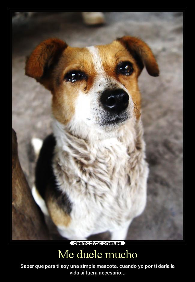 Me duele mucho -
