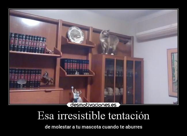 Esa irresistible tentación - 